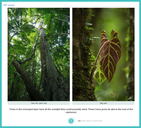Rainforest Journey by EdTechLens | A Review by Running With Spears #HSReview #EdTechlens #OnlineScienceResource #InteractiveScience #homeschool