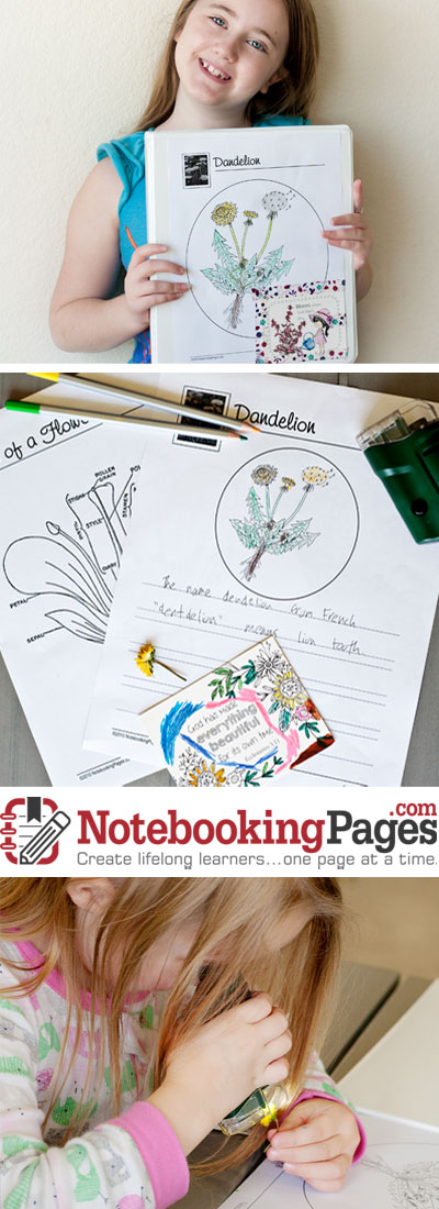NotebookingPages.com - homeschooling without the busy work! | Review by Running With Spears #notebooking #journaling