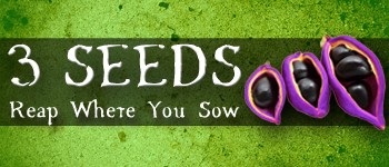 "3 Seeds is a 30-45 minute, 2-5 Player, Light Strategic Card Game. Players use seed cards (Time, Money, & Labor) to complete crops, employ special event cards to gain bonuses, and uncover hidden harvest cards to maximize their points. Remember it isn't just what you sow, its WHERE you sow!" 